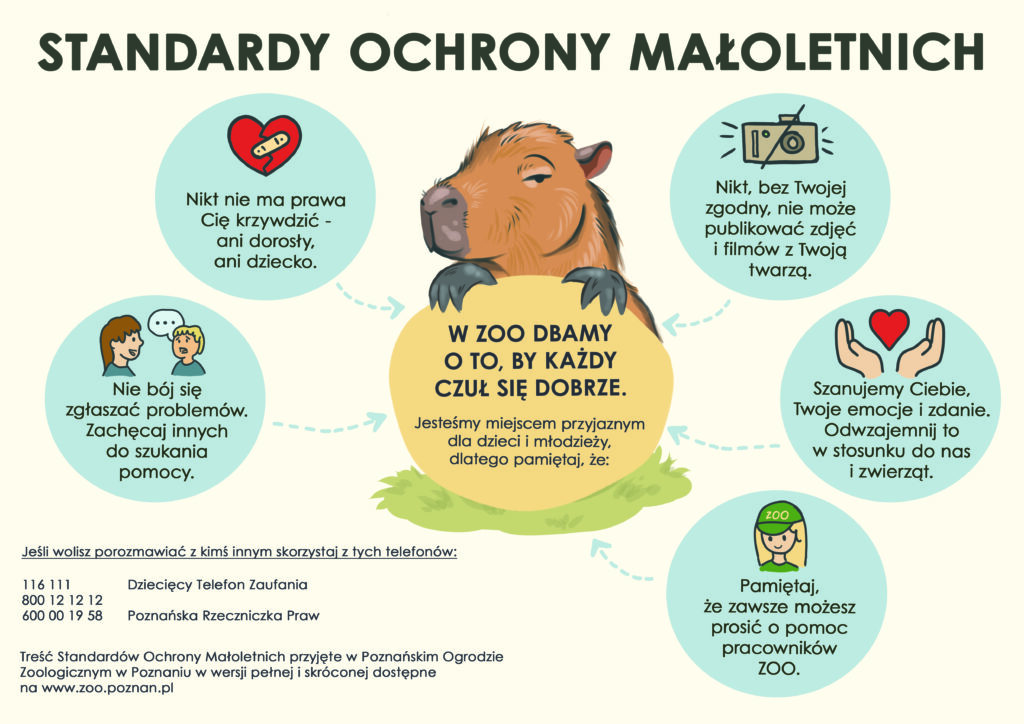 Plakat „Standardy ochrony małoletnich” w ZOO Poznań: rysunek kapibary i zasady bezpieczeństwa - brak przemocy, zgłaszanie problemów, publikacja wizerunku tylko za zgodą, wzajemny szacunek, pomoc pracowników. Plakat „Standardy ochrony małoletnich” w ZOO Poznań: rysunek kapibary i zasady bezpieczeństwa - brak przemocy, zgłaszanie problemów, publikacja wizerunku tylko za zgodą, wzajemny szacunek, pomoc pracowników.