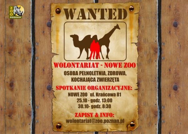 Zapraszamy na spotkanie informacyjno-rekrutacyjne 25.10 o godz. 13:00 lub 30.10 o godz. 8:30 dotyczące wolontariatu…