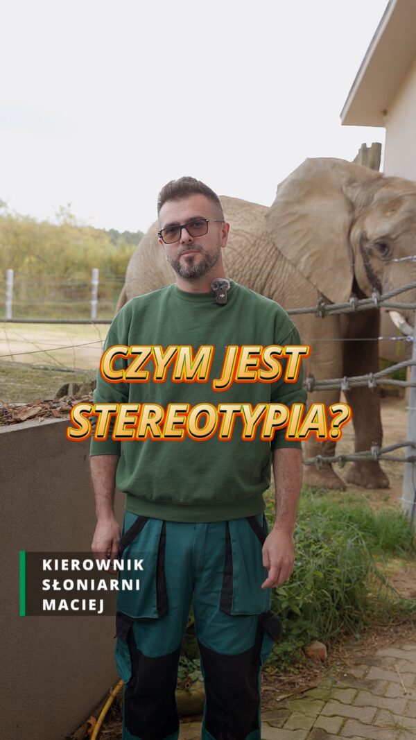 🐘 Kołysanie głową to zachowanie, które możecie zauważyć u słonicy Daisy. Daisy przyjechała do nas…