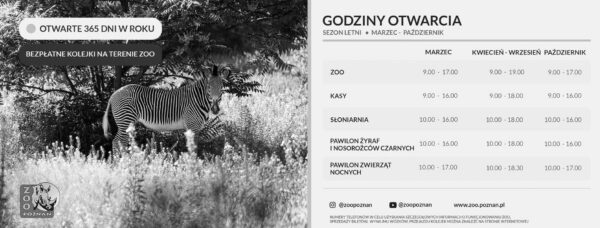 Photo by Zoo Poznań Official Site